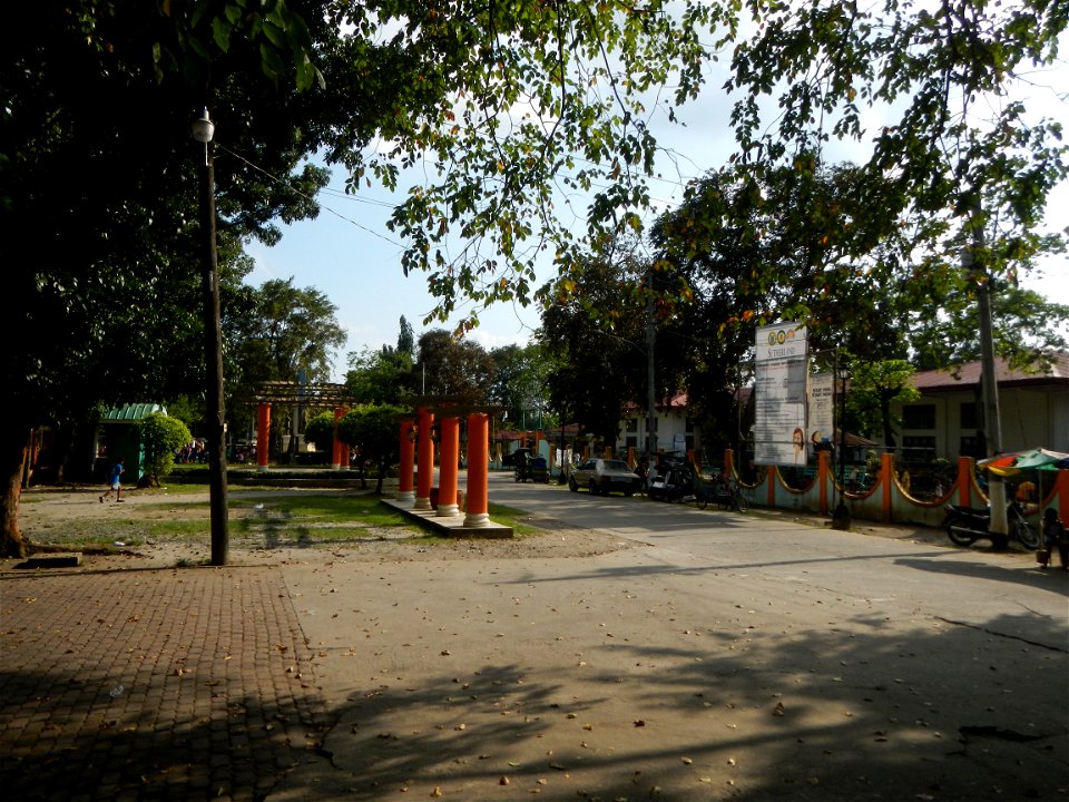 Anao, Tarlac Municipal Hall and Anao, Tarlac Town Marker and Municipal Plaza, (in Barangay Poblacion, Anao, Tarlac, Tarlac Province, Cananga odorata ylang-ylang is Tagalog word ilang, meaning "wildern