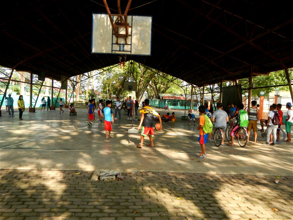 Anao, Tarlac Municipal Hall and Anao, Tarlac Town Marker and Municipal Plaza, (in Barangay Poblacion, Anao, Tarlac, Tarlac Province, Cananga odorata ylang-ylang is Tagalog word ilang, meaning "wildern