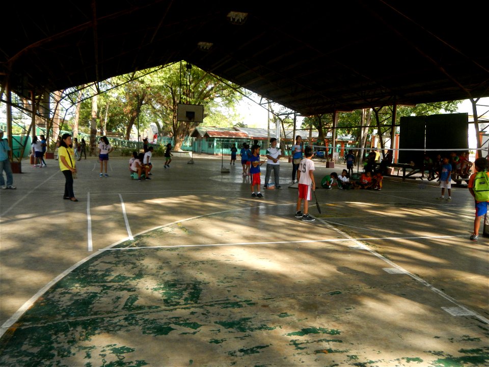 Anao, Tarlac Municipal Hall and Anao, Tarlac Town Marker and Municipal Plaza, (in Barangay Poblacion, Anao, Tarlac, Tarlac Province, Cananga odorata ylang-ylang is Tagalog word ilang, meaning "wildern
