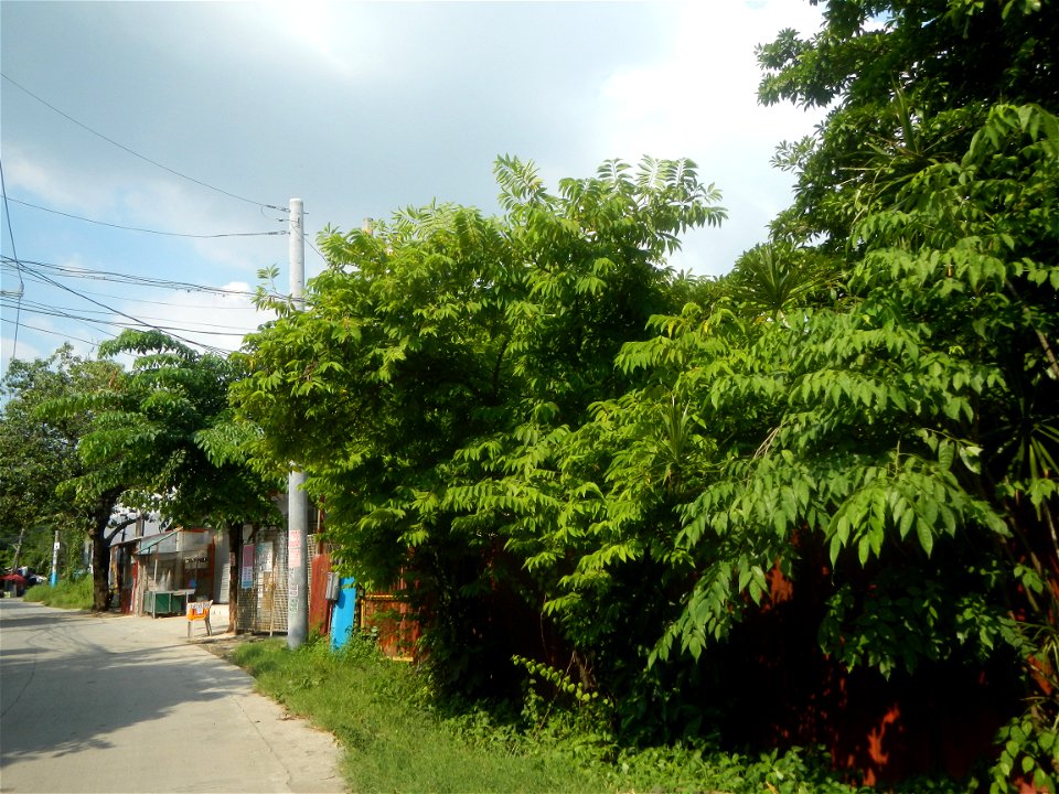 Photos taken during the 2020 coronavirus pandemic in Meycauayan, Bulacan Timeline of the 2020 coronavirus pandemic in the Philippines  2020 coronavirus pandemic in the Philippines Bayanihan to Heal as