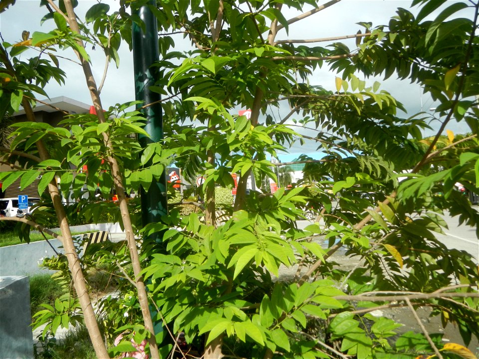 Photos taken during the 2020 coronavirus pandemic in Bustos and Baliuag, Bulacan New Normal (General Community Quarantine in Baliuag, Bulacan) Photos taken during the 2020 coronavirus pandemic in Bali