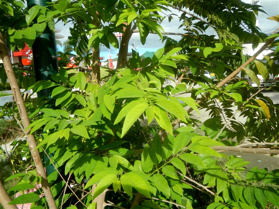 Photos taken during the 2020 coronavirus pandemic in Bustos and Baliuag, Bulacan New Normal (General Community Quarantine in Baliuag, Bulacan) Photos taken during the 2020 coronavirus pandemic in Bali