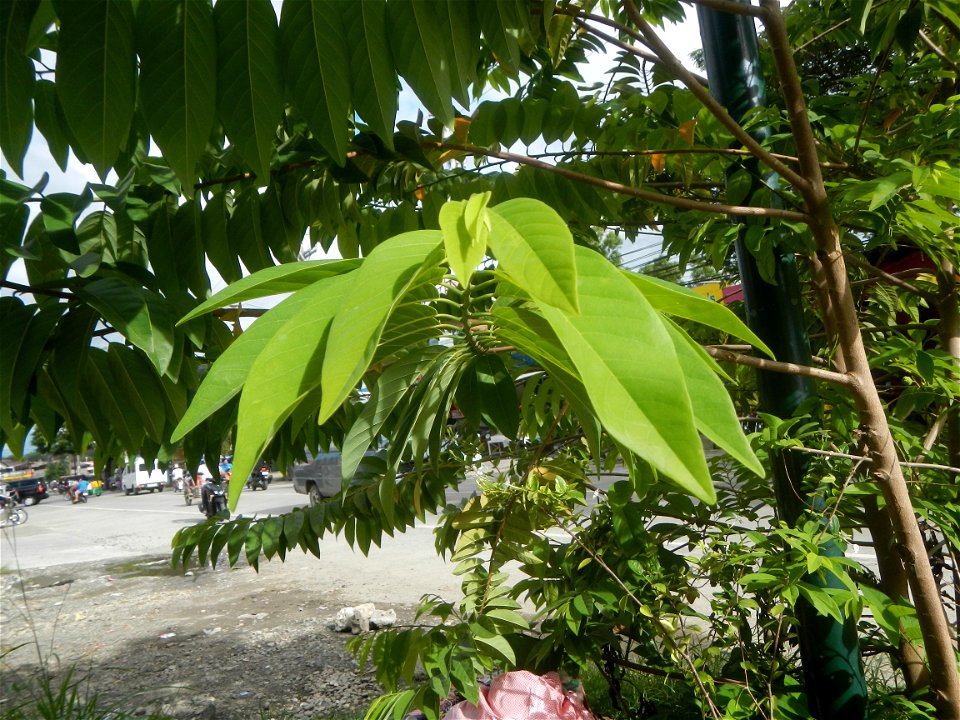 Photos taken during the 2020 coronavirus pandemic in Bustos and Baliuag, Bulacan New Normal (General Community Quarantine in Baliuag, Bulacan) Photos taken during the 2020 coronavirus pandemic in Bali