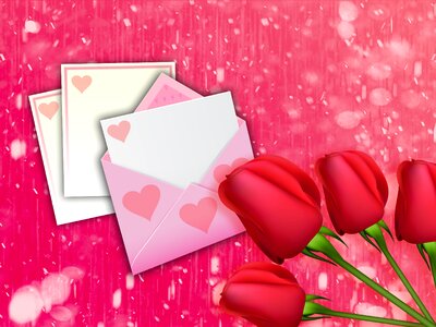 Reason romantic reason flowers