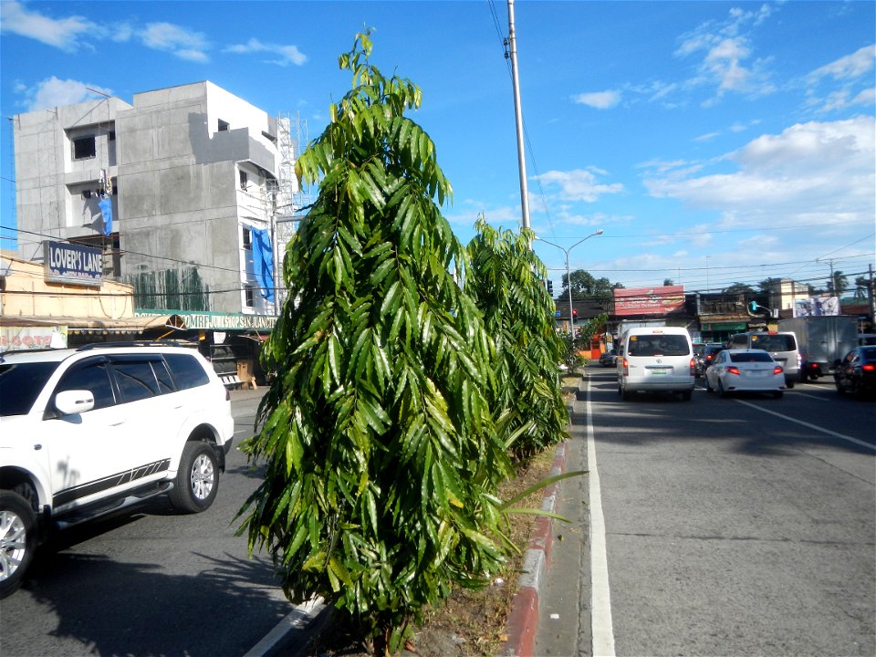 Gregorio Araneta Avenue List of barangays of Metro Manila Legislative districts of Quezon City, Barangays of Quezon City, Barangay Doña Imelda 14°36'40"N, District IV, Quezon City from V. Mapa LRT Sta