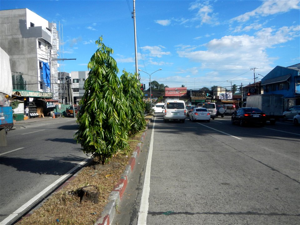 Gregorio Araneta Avenue List of barangays of Metro Manila Legislative districts of Quezon City, Barangays of Quezon City, Barangay Doña Imelda 14°36'40"N, District IV, Quezon City from V. Mapa LRT Sta
