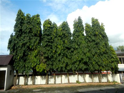 Saint Clare of Assisi Parish Catholic Church (Santa Clara, Santo Tomas, Batangas) Roman Catholic Archdiocese of Lipa Sitios and villages in Category:Barangays of Batangas Category:Barangays of Santo T