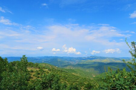 Forest trees mountains photo