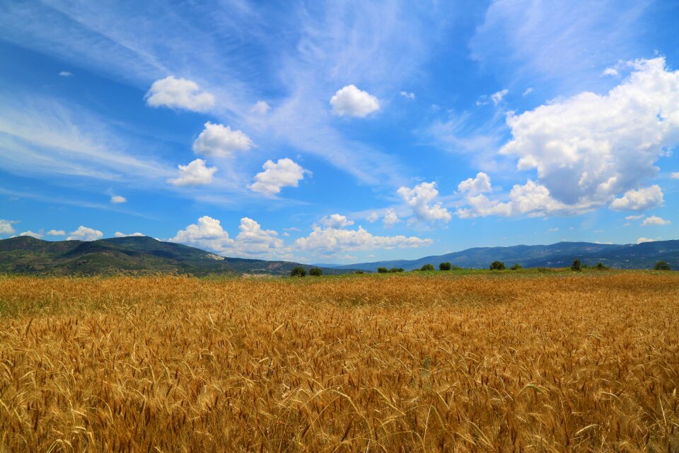 Land agriculture food