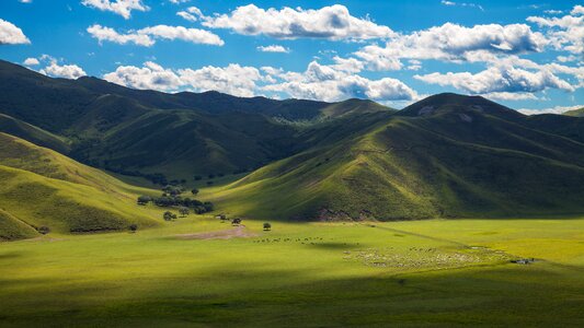 Hulunbeir horqin prairie photo