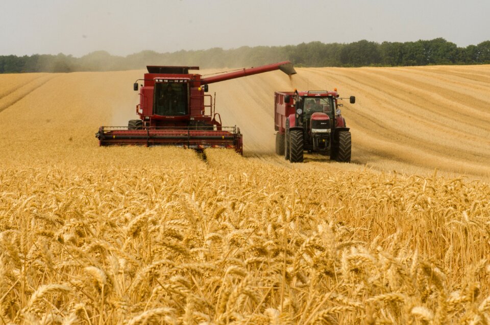 Agriculture farm harvest