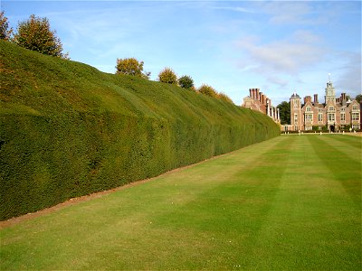 This yew hedge is located at the front approach of Blickling and dates back to the 18th century. photo