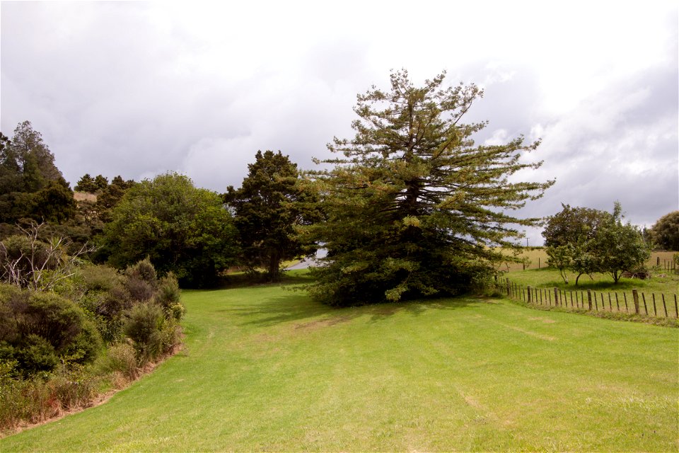 Parry Kauri Park - view outside of the parklabel QS:Len,"Parry Kauri Park - view outside of the park"
label QS:Lhu,"Parry Kauri Park - látkép a park szélén"