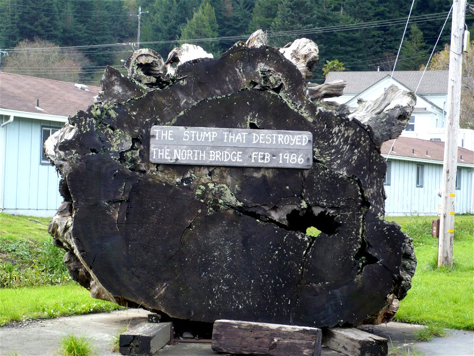 The stump of a Coast Redwood tree that destroyed the North Bridge in Rio Dell, California February 1986.  It stands outside the Rio Dell Library and Chamber of Commerce.
