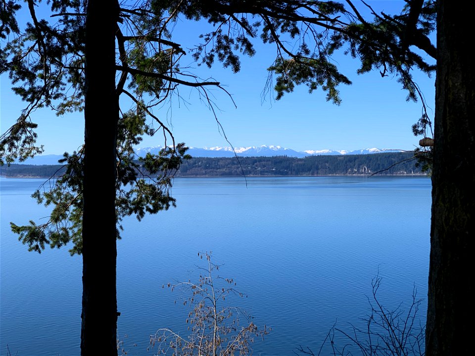 Taken on a winter day from Camano Island State Park (a Washington State Park) from just inside the trees up on the bluff above the beach looking to the west. The body of water is the part of Puget Sou