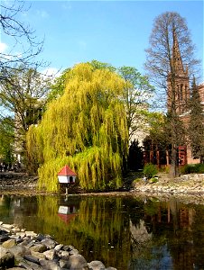 Park Kazimierza Wielkiego w Bydgoszczy