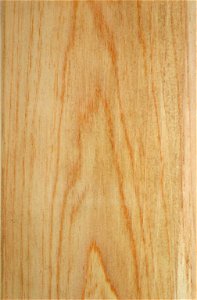 Taxodium distichum timber from tree cultivated in Johannesburg, South Africa