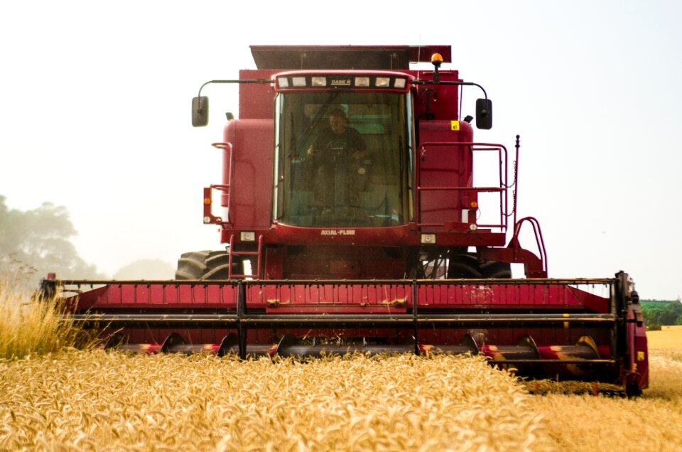 Agriculture farm harvest