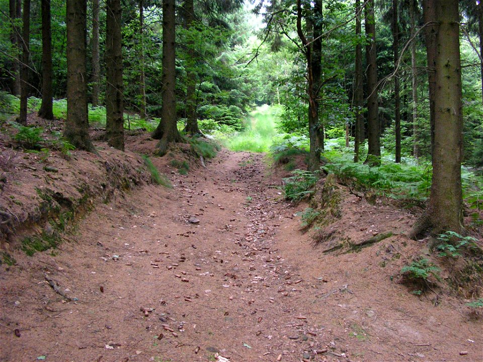 Weg auf den Heidkopf