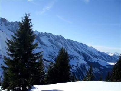 La Chaîne des Aravis, avec Picea abies