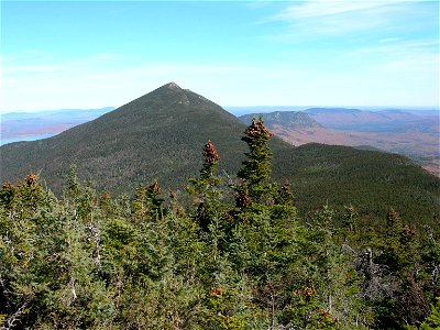 Mt. Bigelow, West Peak, Maine, with mixed Balsam Fir Abies balsamea - White Spruce Picea glauca forest in foreground.