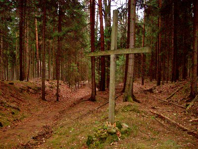 Pilgerkreuz am Jakobsweg im Tharandter Wald