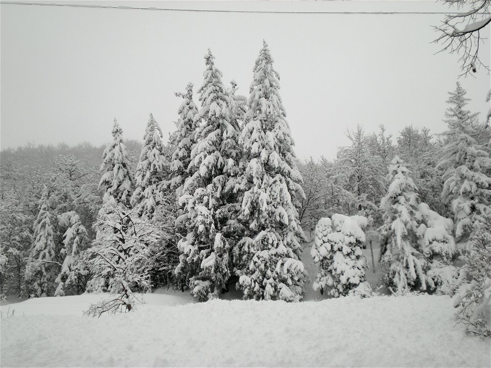 Abbondante nevicata a Piampaludo