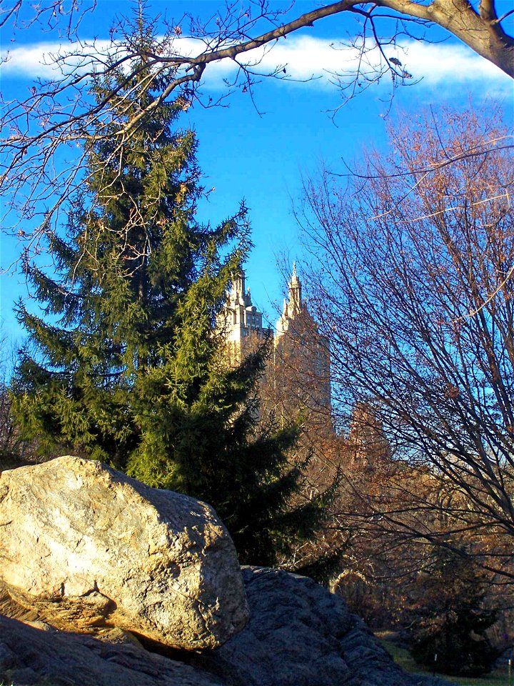 Looking north in Central Park in New York City, West Side.