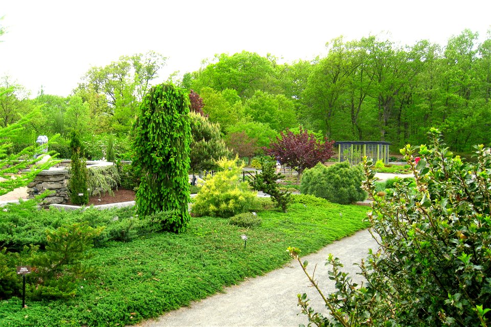 Tower Hill Botanic Garden, Boylston, Massachusetts, USA. Systematic garden.