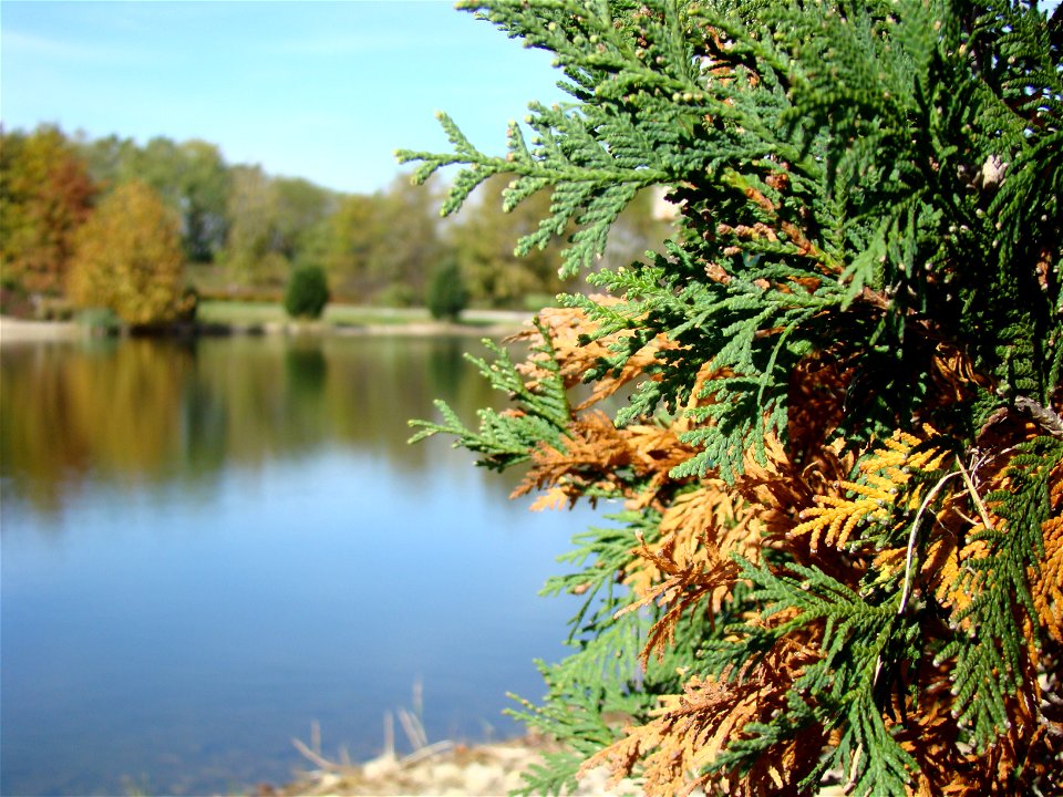 Chadwick Arboretum and Learning Gardens
The Ohio State University

Columbus, Ohio