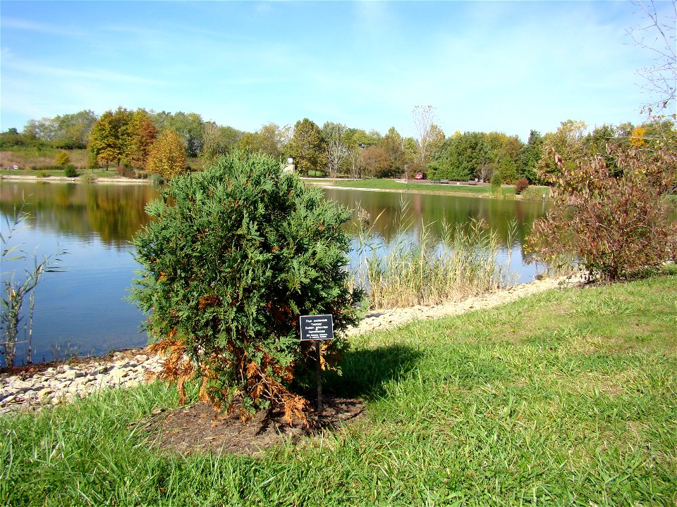 Chadwick Arboretum and Learning Gardens
The Ohio State University

Columbus, Ohio