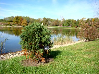 Chadwick Arboretum and Learning Gardens
The Ohio State University

Columbus, Ohio