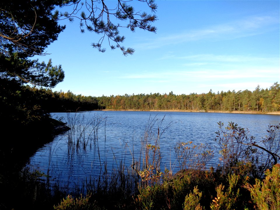 Lake Gärdsträsket in Värmdö municipality, Sweden