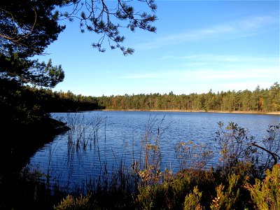 Lake Gärdsträsket in Värmdö municipality, Sweden