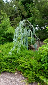 Chadwick Arboretum and Learning Gardens

Columbus, Ohio