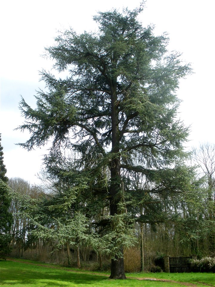 Parc du Château de Saint-Jean-de-Beauregard, Essonne, France.