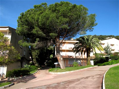 View of one of the buildings of the holidays center Azureva, Roquebrune Cap-Martin, Alpes-Maritimes, France