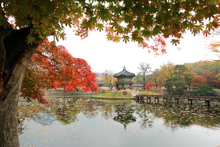 Gwanghwamun cultural property autumn leaves