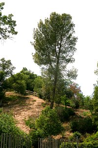 William S. Hart Park, Newhall, CA