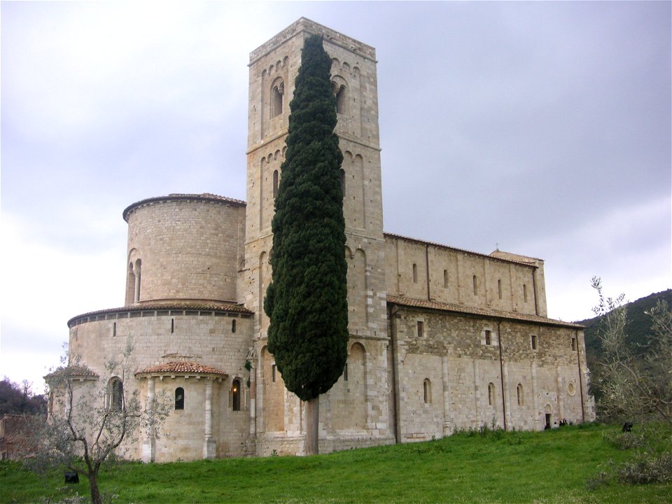 Cupressus sempervirens, Abbazia di Sant'Antimo