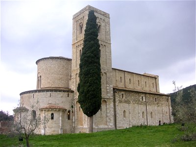 Cupressus sempervirens, Abbazia di Sant'Antimo photo