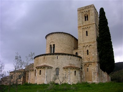 Cupressus sempervirens, Abbazia di Sant'Antimo