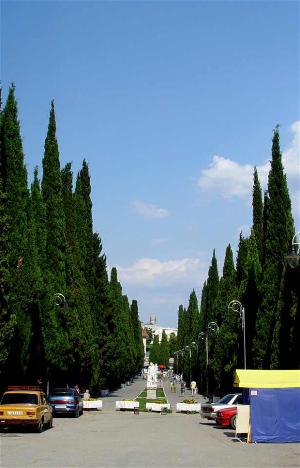 Cypress Alley in Simeiz (Crimea).