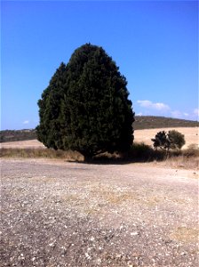 Geography of Israel photo