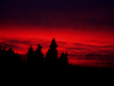 Posta de sol vista des d'un camp dels afores de Palafrugell. Al fons es veuen uns xiprers.
Español:  ﻿Puesta de sol vista desde un campo en las afueras de Palafrugell. En el fondo se ven unos cipr