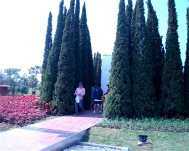in Royal Flora Expo 2006, Chiangmai, Thailand