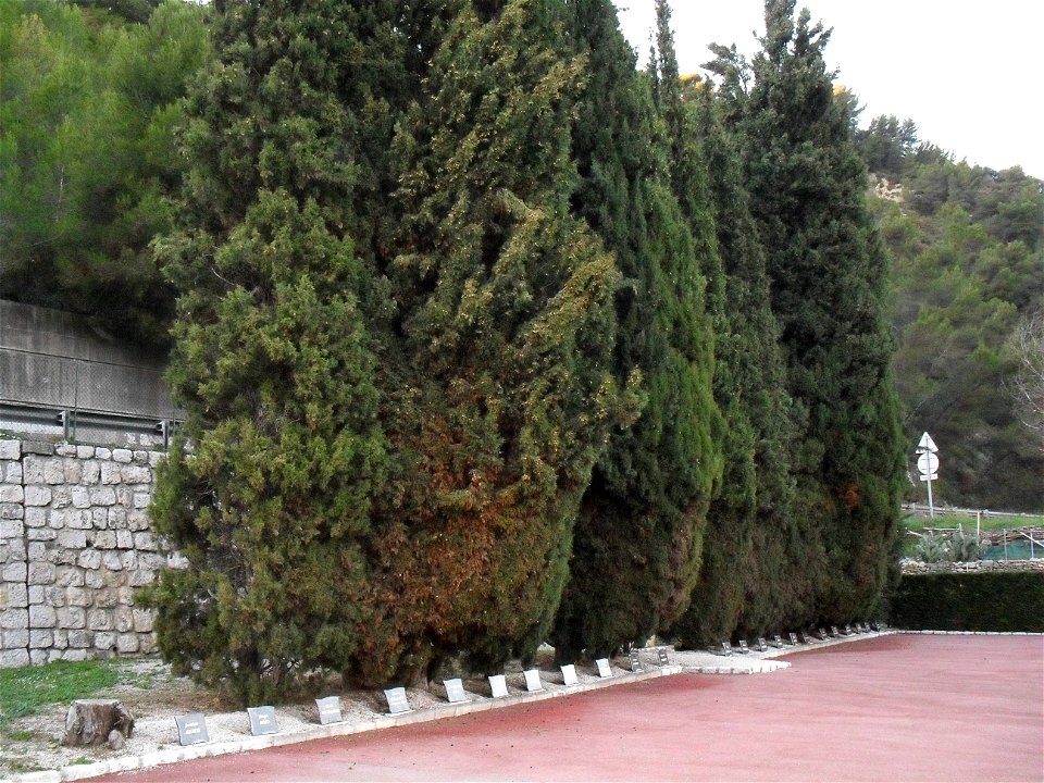 Vue générale de la terrasse gravillonnée du carré des Fusillés de l'Ariane à Nice avec les plaques nominatives des fusillés.
