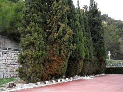 Vue générale de la terrasse gravillonnée du carré des Fusillés de l'Ariane à Nice avec les plaques nominatives des fusillés.