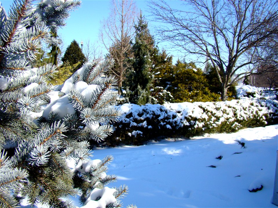 Chadwick Arboretum and Learning Gardens
The Ohio State University

Columbus, Ohio