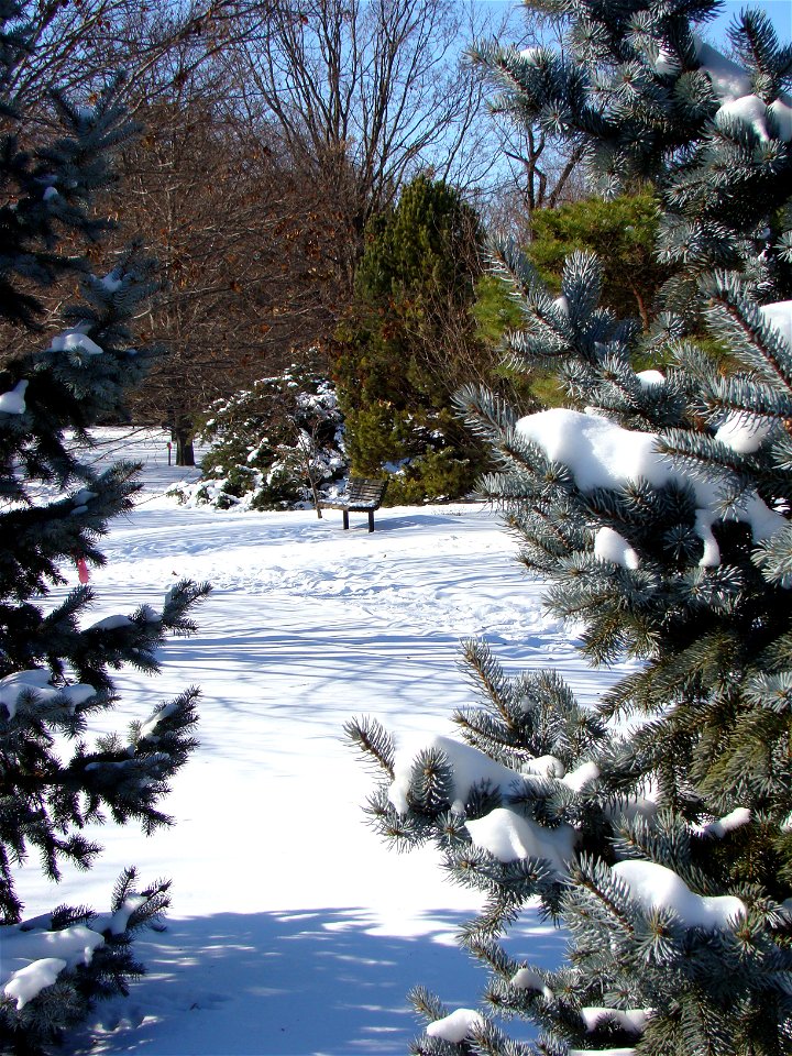 Chadwick Arboretum and Learning Gardens
The Ohio State University

Columbus, Ohio